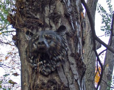 Прикрепленное изображение: DSCF6230.jpg